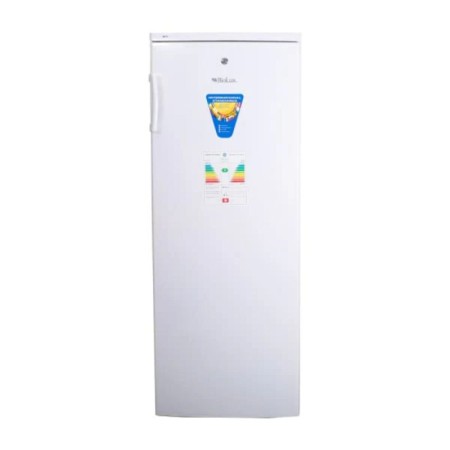 CONGELATEUR BIOLUX 168L DEFROST VERTICAL CV28BL