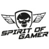 Spirit of gamer